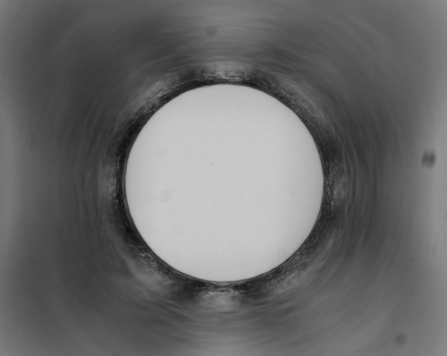 X0000101680595200808071111