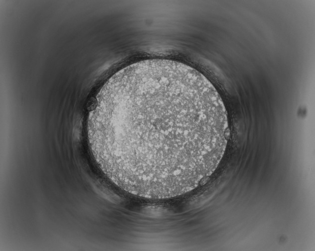 X0000101680596200808071111