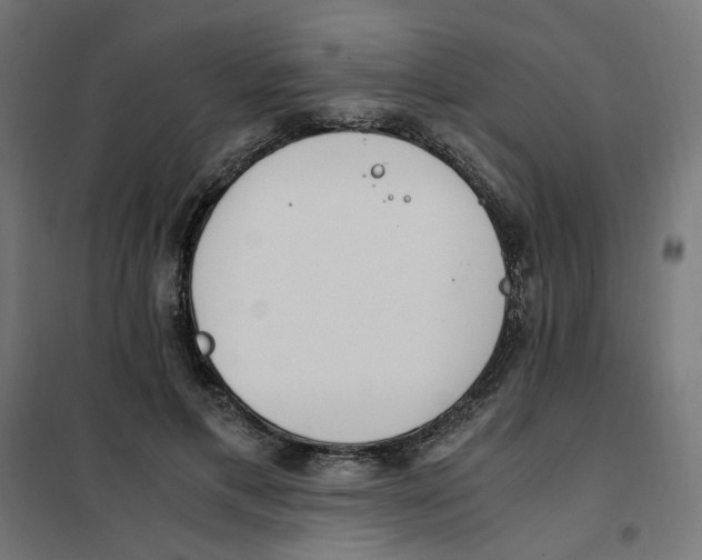 X0000101680597200808071111