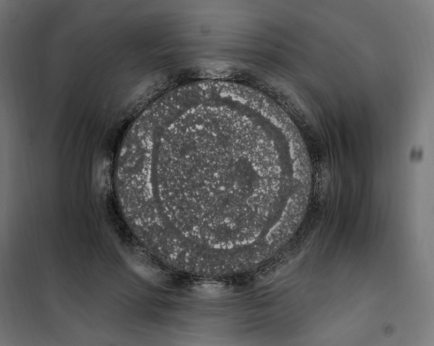 X0000101680598200808071111