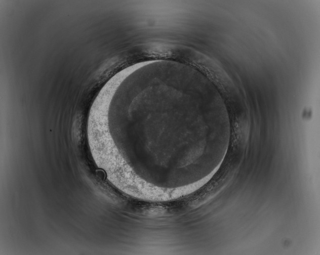 X0000101680600200808071111