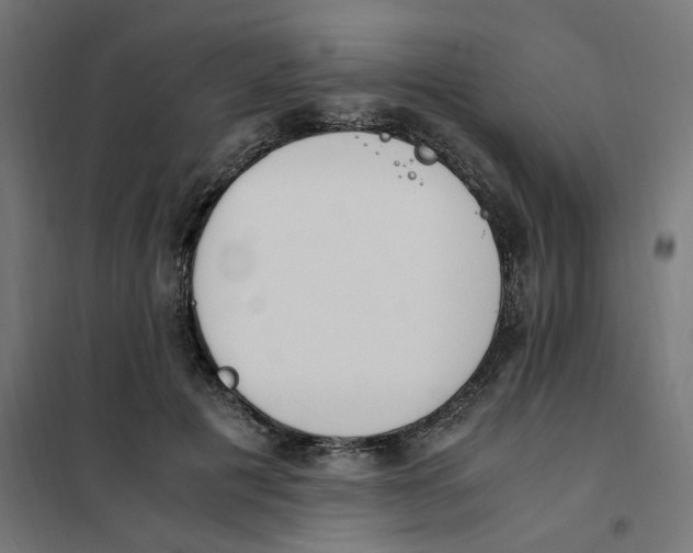 X0000101680601200808071111