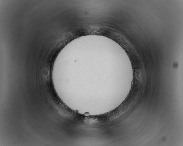 X0000101680602200808071111