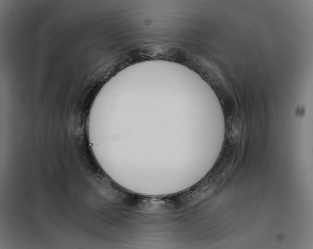 X0000101680607200808071111