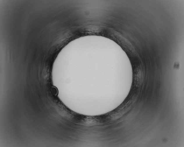 X0000101680608200808071111