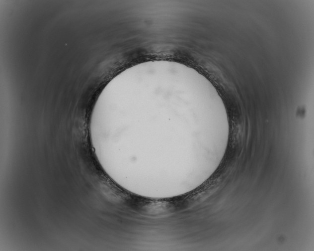 X0000101680609200808071111