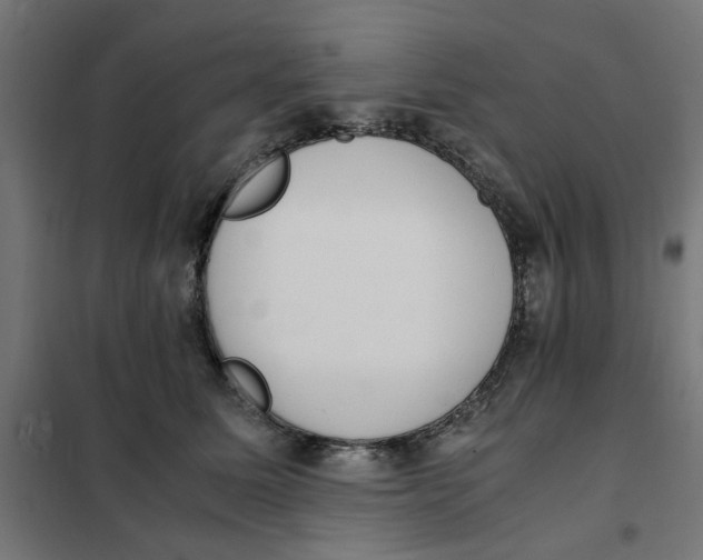 X0000101680611200808071111