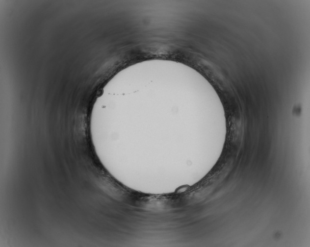 X0000101680612200808071111