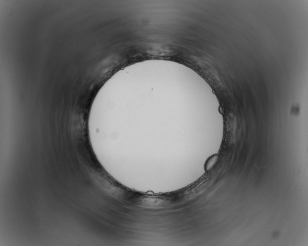 X0000101680614200808071110