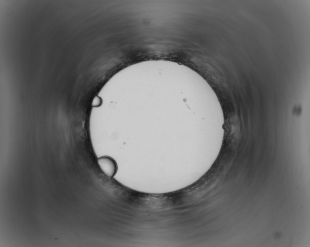 X0000101680615200808071110