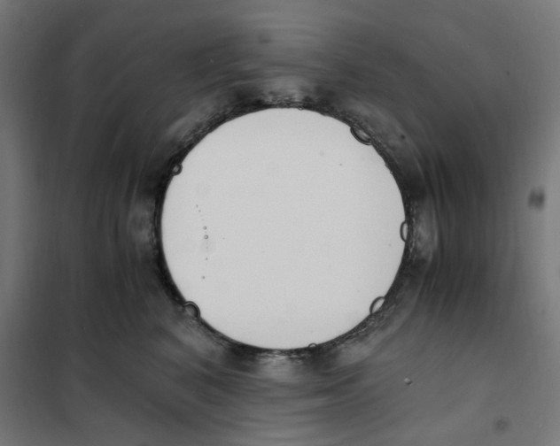 X0000101680616200808071110