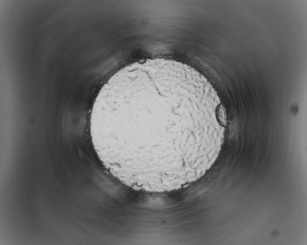 X0000101680618200808071110