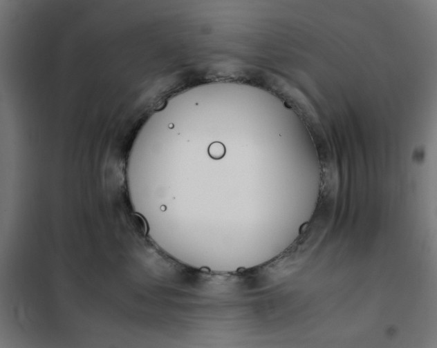 X0000101680621200808071110