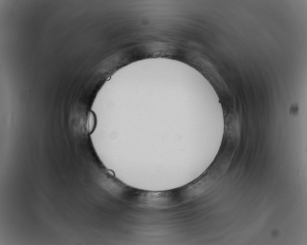 X0000101680622200808071110