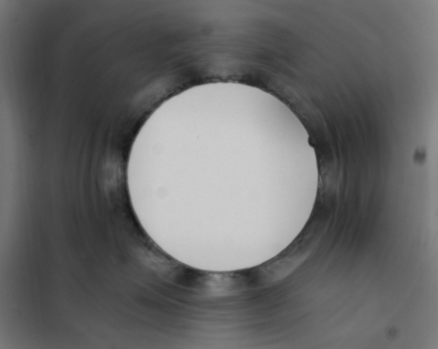 X0000101680623200808071110