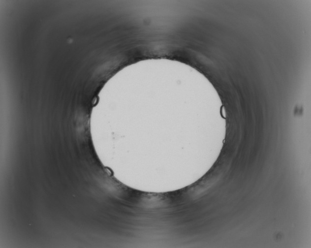 X0000101680624200808071110