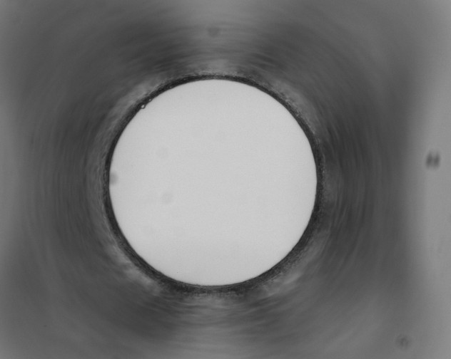 X0000101680625200808071110
