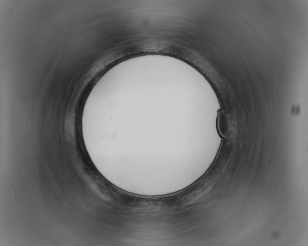 X0000101680626200808071110