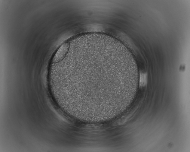 X0000101680627200808071110