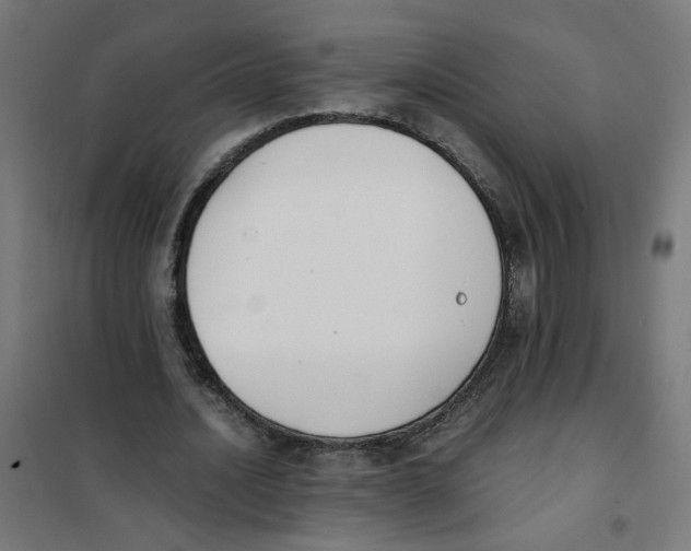 X0000101680628200808071110