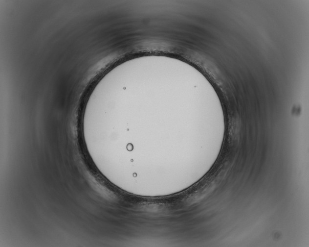X0000101680629200808071110