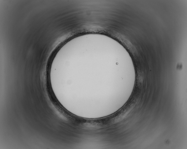 X0000101680630200808071110