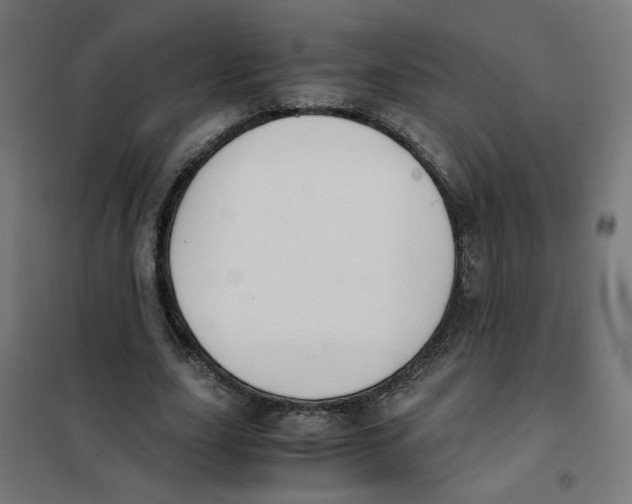 X0000101680631200808071110