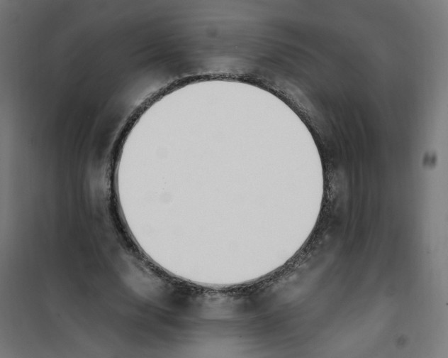 X0000101680632200808071110