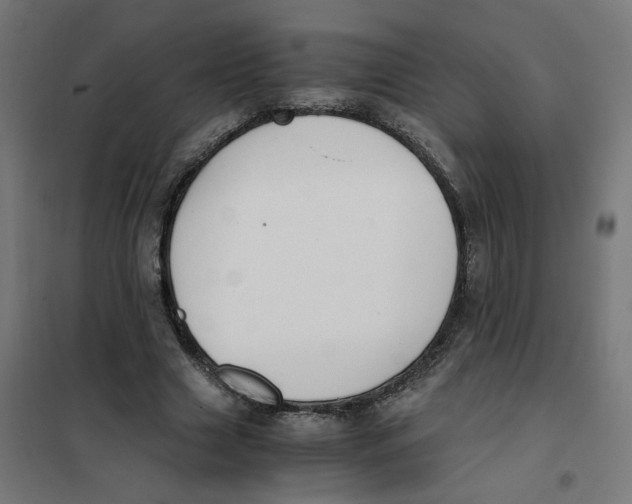 X0000101680633200808071110