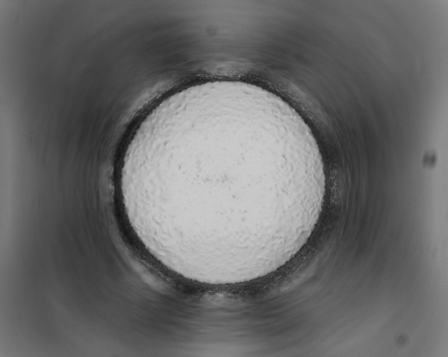 X0000101680634200808071110