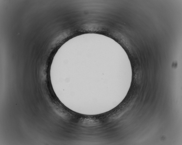 X0000101680635200808071110