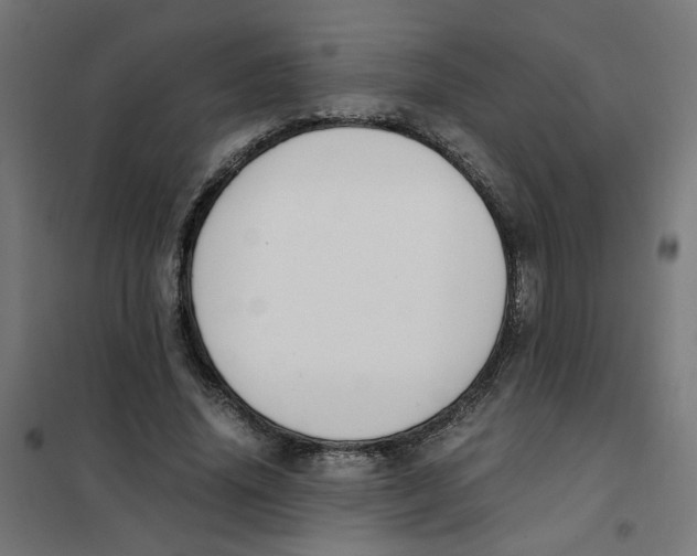 X0000101680636200808071110
