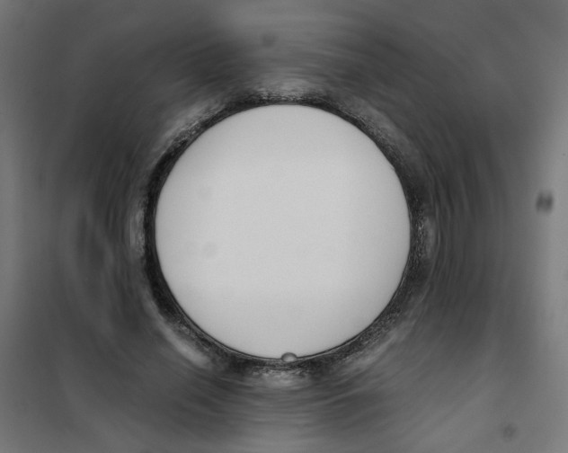 X0000101680638200808071110