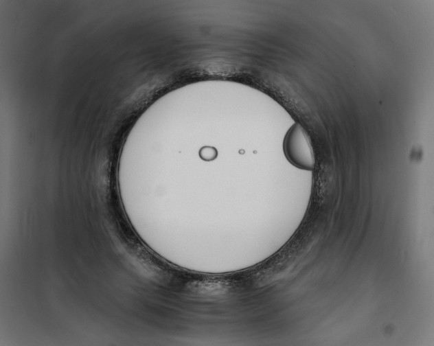 X0000101680639200808071110