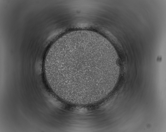 X0000101680640200808071110