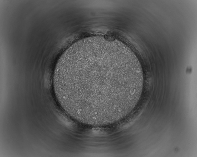 X0000101680641200808071110