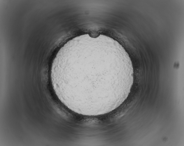 X0000101680642200808071110