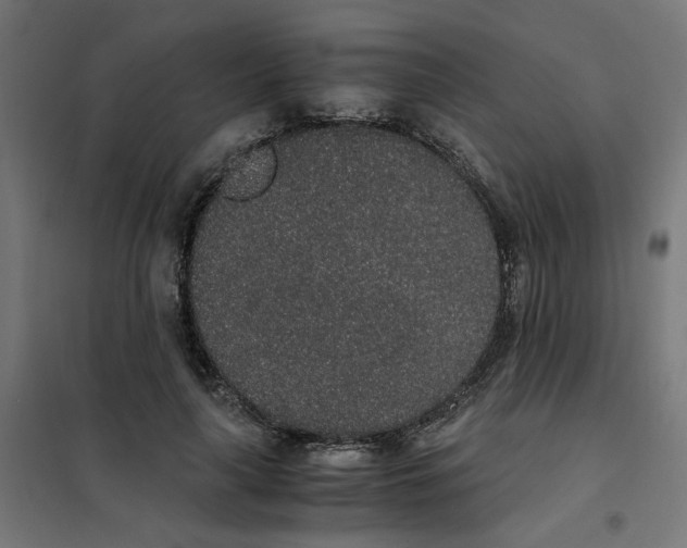 X0000101680643200808071110