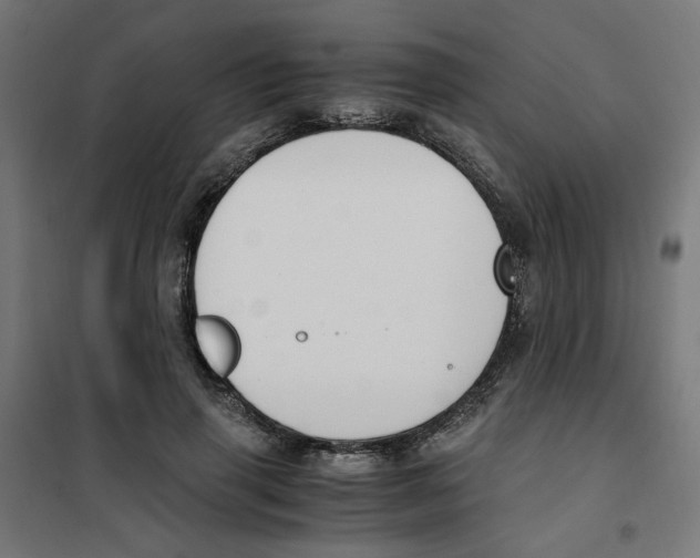 X0000101680645200808071110