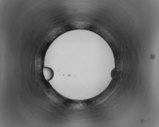 X0000101680646200808071110
