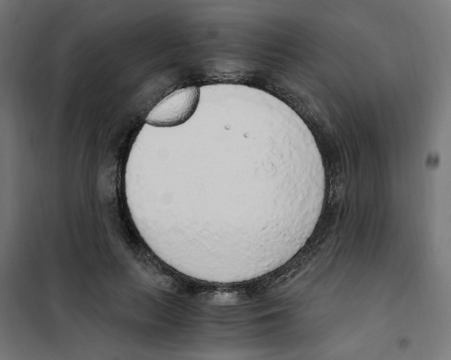 X0000101680647200808071110