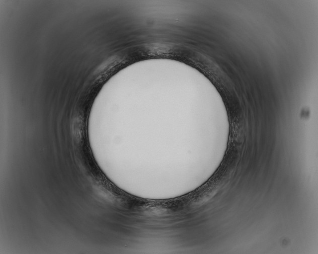 X0000101680648200808071110