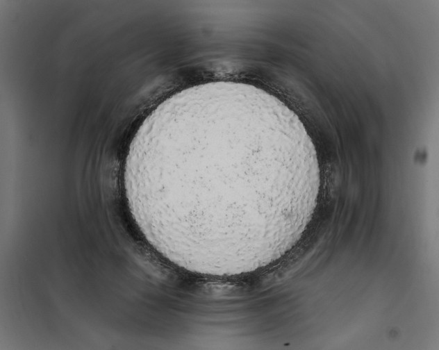 X0000101680650200808071110