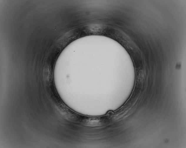 X0000101680651200808071110
