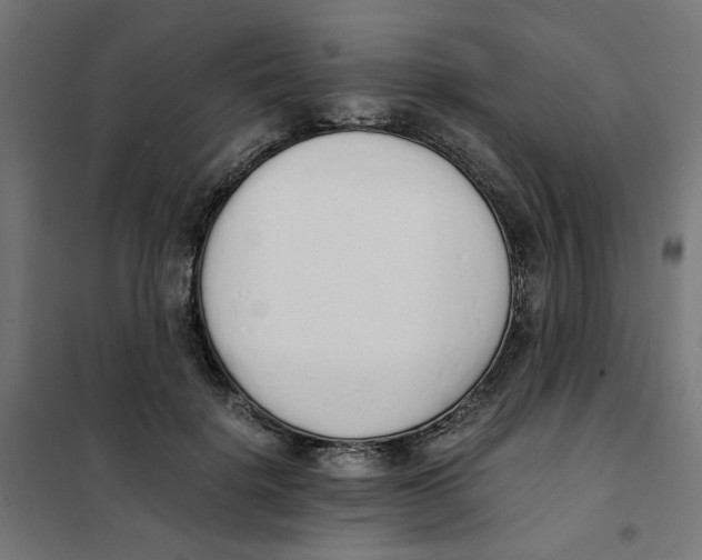 X0000101680652200808071110
