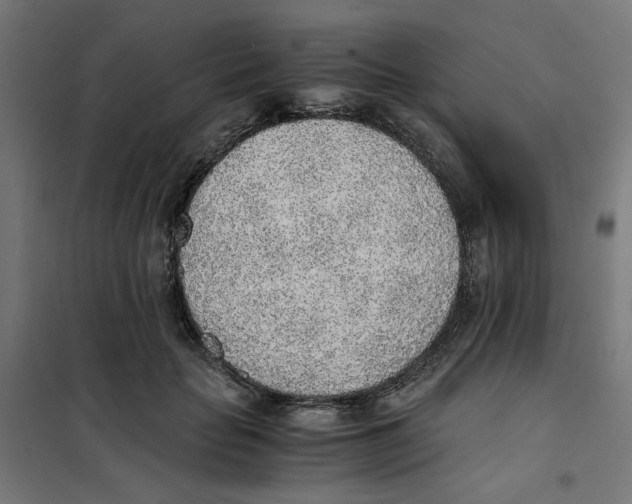 X0000101680653200808071110