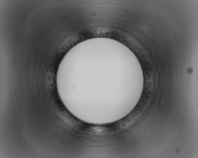 X0000101680654200808071110