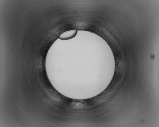 X0000101680655200808071110