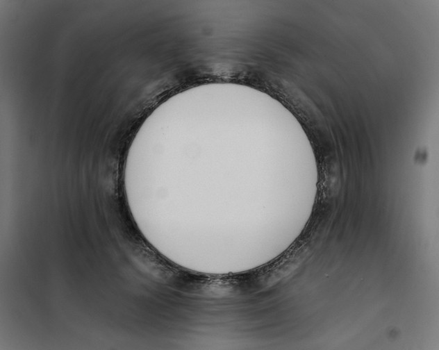 X0000101680656200808071110