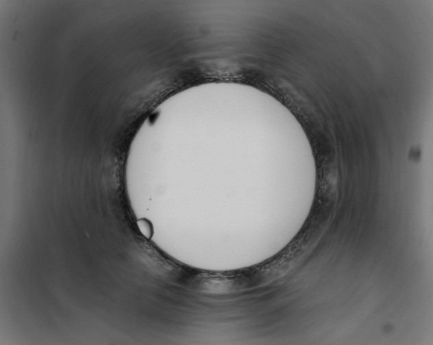 X0000101680658200808071110